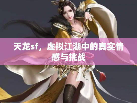 天龙sf，虚拟江湖中的真实情感与挑战