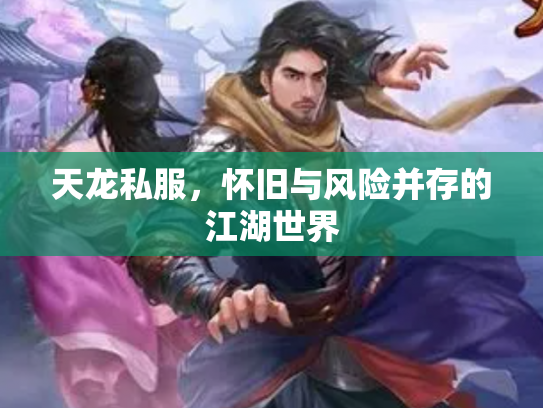 天龙私服，怀旧与风险并存的江湖世界