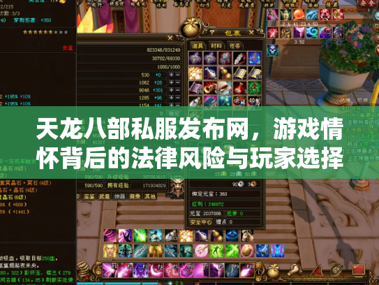 天龙八部私服发布网，游戏情怀背后的法律风险与玩家选择