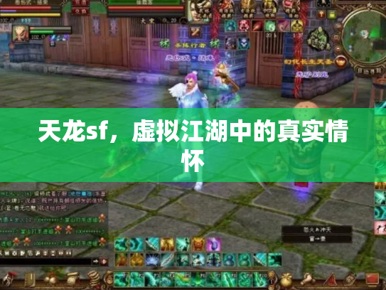 天龙sf，虚拟江湖中的真实情怀