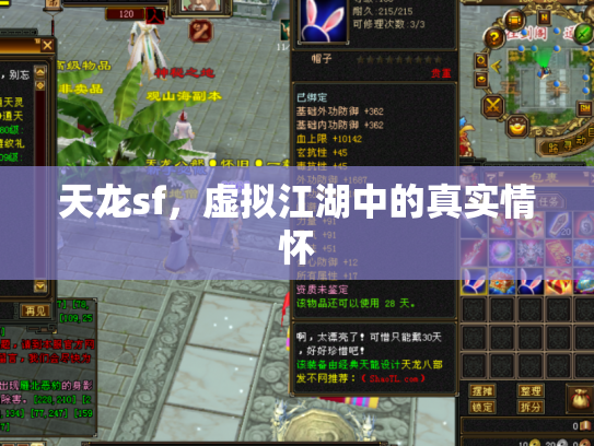 天龙sf，虚拟江湖中的真实情怀
