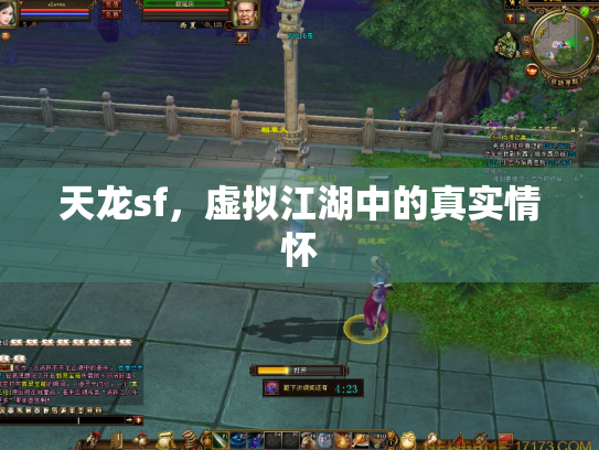 天龙sf，虚拟江湖中的真实情怀