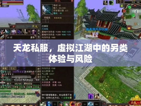 天龙私服，虚拟江湖中的另类体验与风险