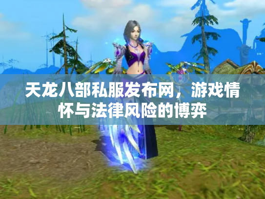 天龙八部私服发布网，游戏情怀与法律风险的博弈