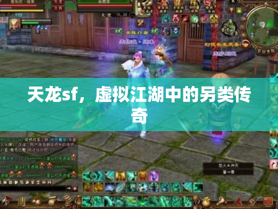 天龙sf，虚拟江湖中的另类传奇