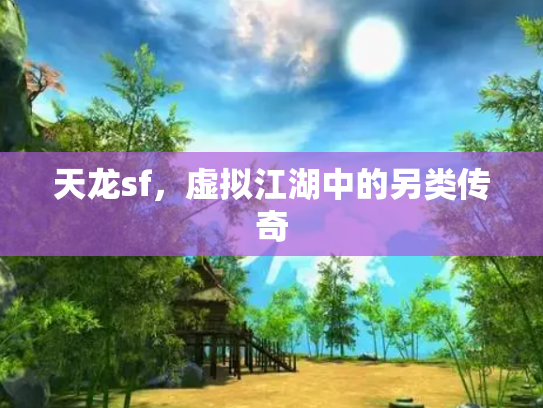 天龙sf，虚拟江湖中的另类传奇