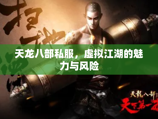 天龙八部私服，虚拟江湖的魅力与风险
