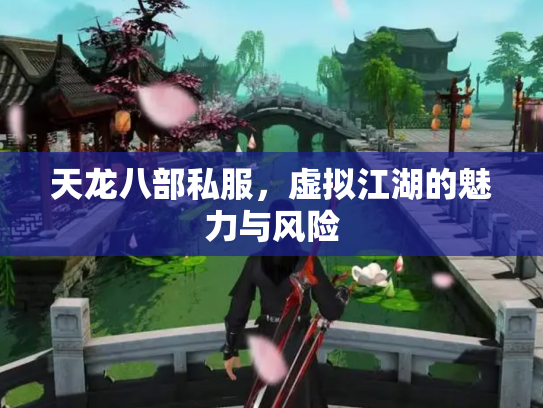 天龙八部私服，虚拟江湖的魅力与风险