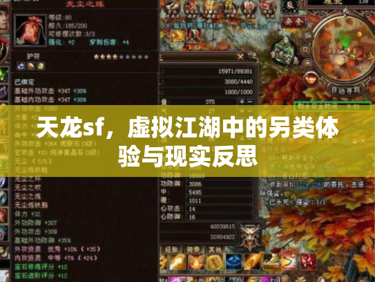 天龙sf，虚拟江湖中的另类体验与现实反思