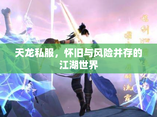 天龙私服，怀旧与风险并存的江湖世界