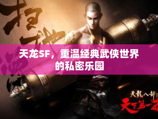 天龙SF，重温经典武侠世界的私密乐园