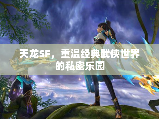 天龙SF，重温经典武侠世界的私密乐园