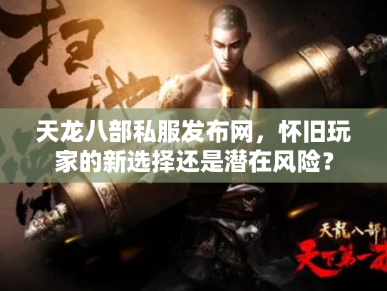 天龙八部私服发布网，怀旧玩家的新选择还是潜在风险？