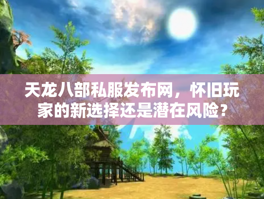 天龙八部私服发布网，怀旧玩家的新选择还是潜在风险？