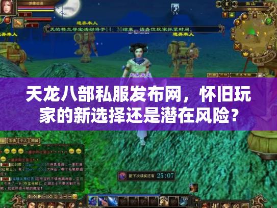 天龙八部私服发布网，怀旧玩家的新选择还是潜在风险？