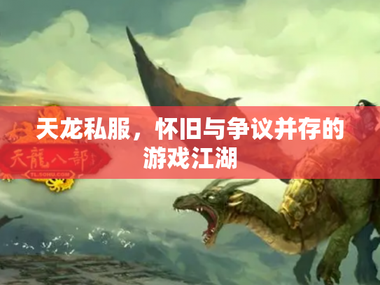 天龙私服，怀旧与争议并存的游戏江湖