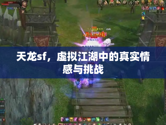 天龙sf，虚拟江湖中的真实情感与挑战
