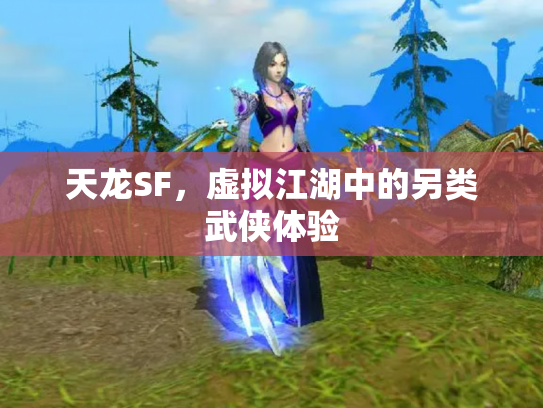 天龙SF，虚拟江湖中的另类武侠体验