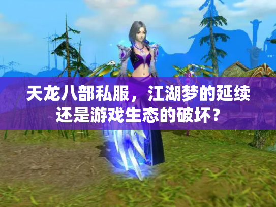 天龙八部私服，江湖梦的延续还是游戏生态的破坏？