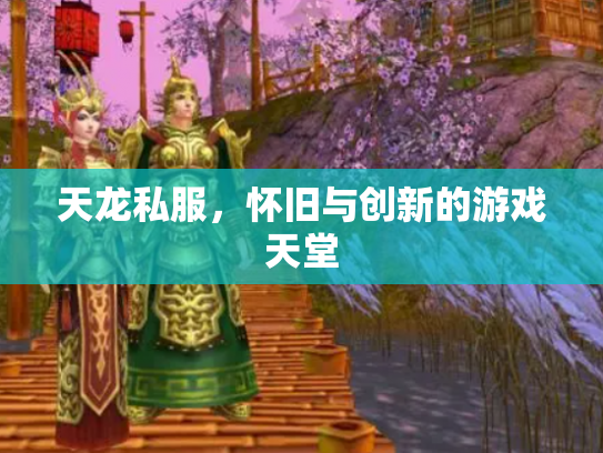 天龙私服，怀旧与创新的游戏天堂