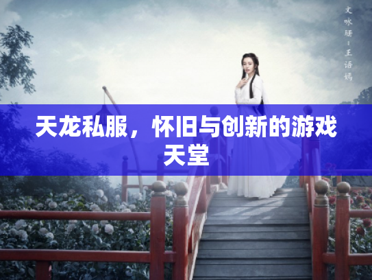 天龙私服，怀旧与创新的游戏天堂