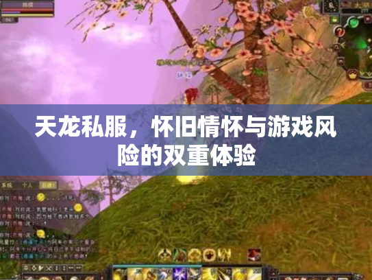 天龙私服，怀旧情怀与游戏风险的双重体验