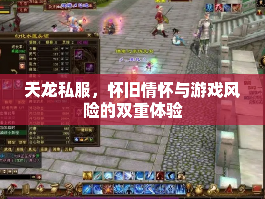 天龙私服，怀旧情怀与游戏风险的双重体验