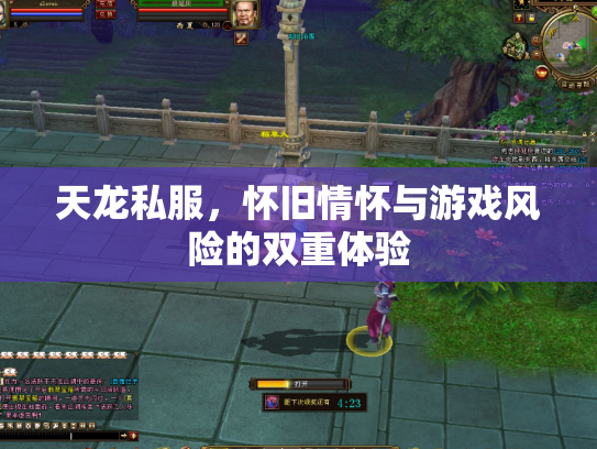 天龙私服，怀旧情怀与游戏风险的双重体验