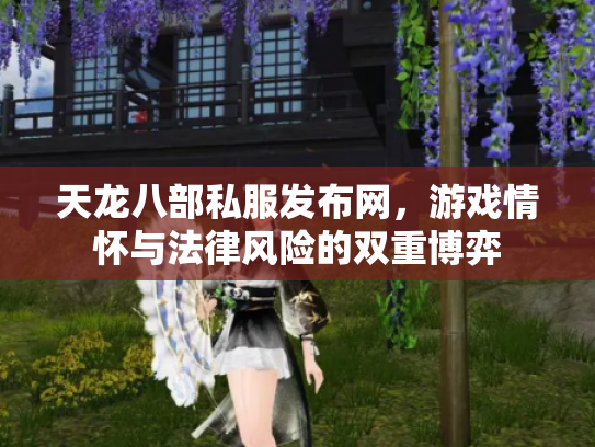 天龙八部私服发布网，游戏情怀与法律风险的双重博弈