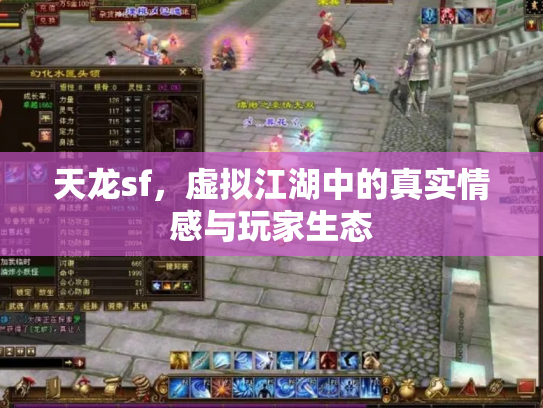 天龙sf，虚拟江湖中的真实情感与玩家生态