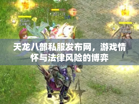 天龙八部私服发布网，游戏情怀与法律风险的博弈