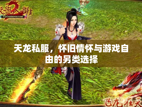 天龙私服，怀旧情怀与游戏自由的另类选择
