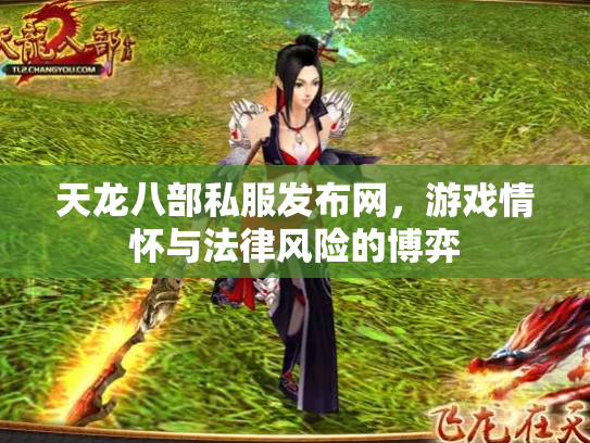 天龙八部私服发布网，游戏情怀与法律风险的博弈