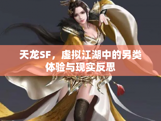 天龙SF，虚拟江湖中的另类体验与现实反思