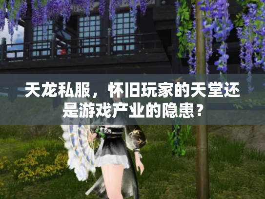 天龙私服，怀旧玩家的天堂还是游戏产业的隐患？