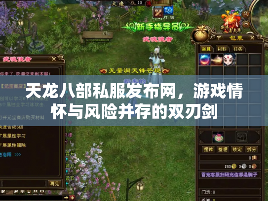 天龙八部私服发布网，游戏情怀与风险并存的双刃剑