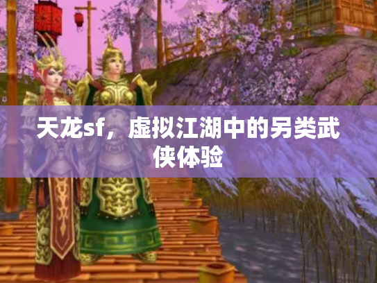 天龙sf，虚拟江湖中的另类武侠体验