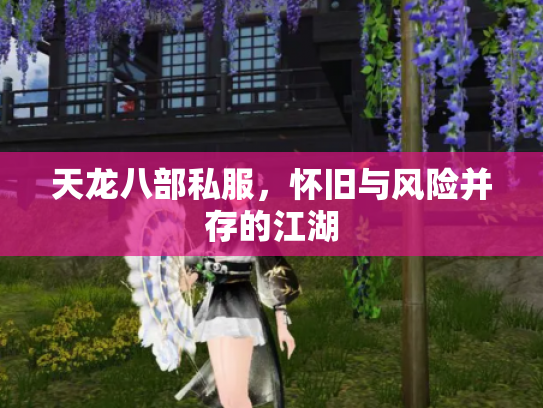 天龙八部私服，怀旧与风险并存的江湖