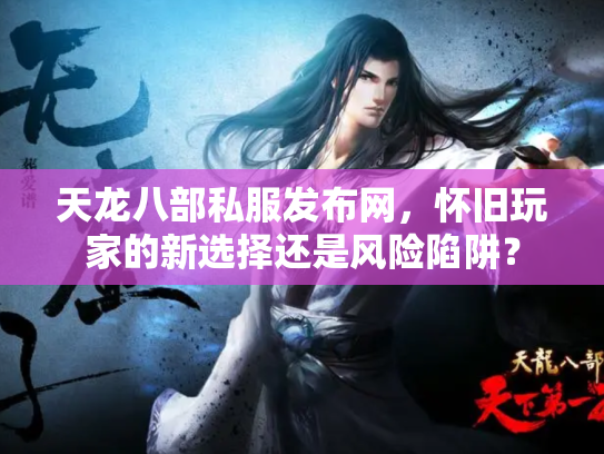 天龙八部私服发布网，怀旧玩家的新选择还是风险陷阱？