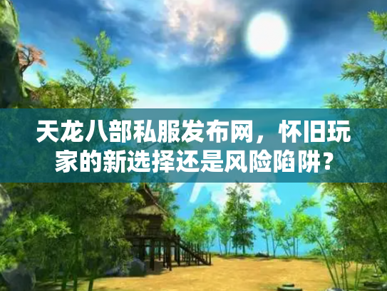 天龙八部私服发布网，怀旧玩家的新选择还是风险陷阱？