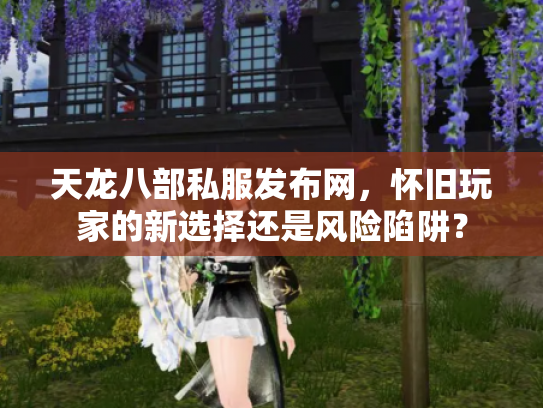 天龙八部私服发布网，怀旧玩家的新选择还是风险陷阱？