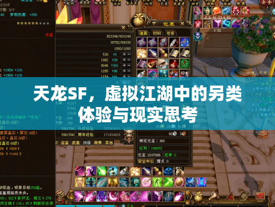 天龙SF，虚拟江湖中的另类体验与现实思考