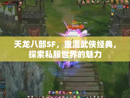 天龙八部SF，重温武侠经典，探索私服世界的魅力