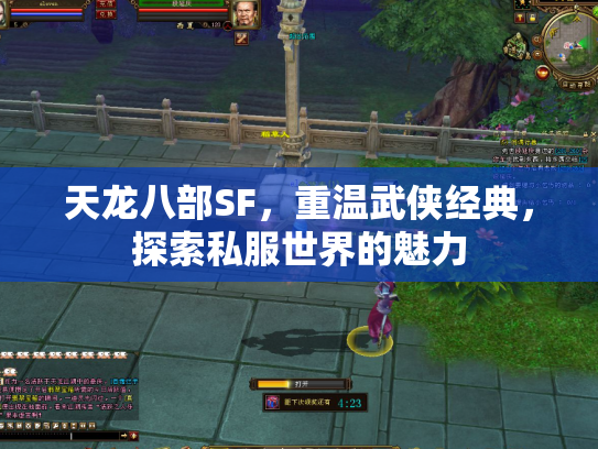 天龙八部SF，重温武侠经典，探索私服世界的魅力