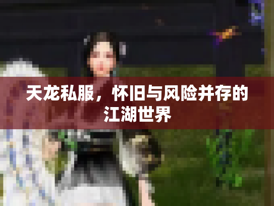 天龙私服，怀旧与风险并存的江湖世界