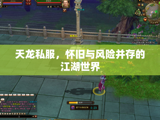 天龙私服，怀旧与风险并存的江湖世界