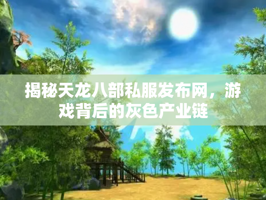 揭秘天龙八部私服发布网，游戏背后的灰色产业链