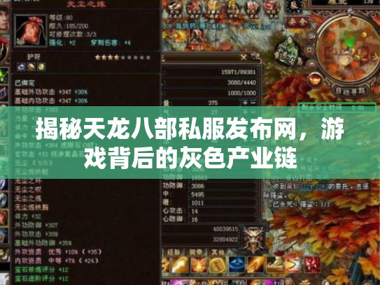 揭秘天龙八部私服发布网，游戏背后的灰色产业链
