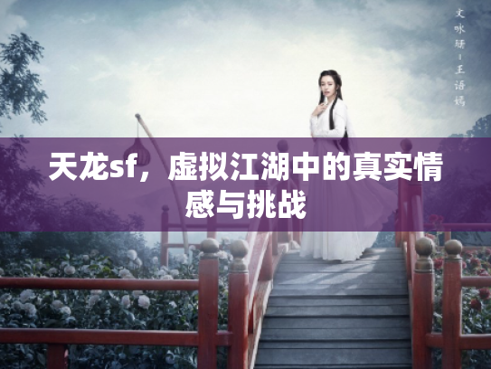 天龙sf，虚拟江湖中的真实情感与挑战
