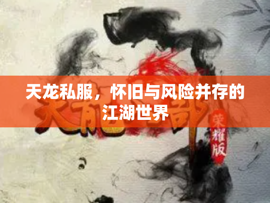 天龙私服，怀旧与风险并存的江湖世界